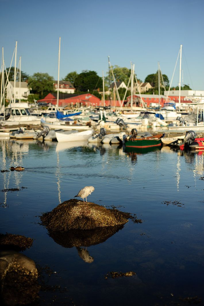 Camden Harbor, Camden, Maine, USA